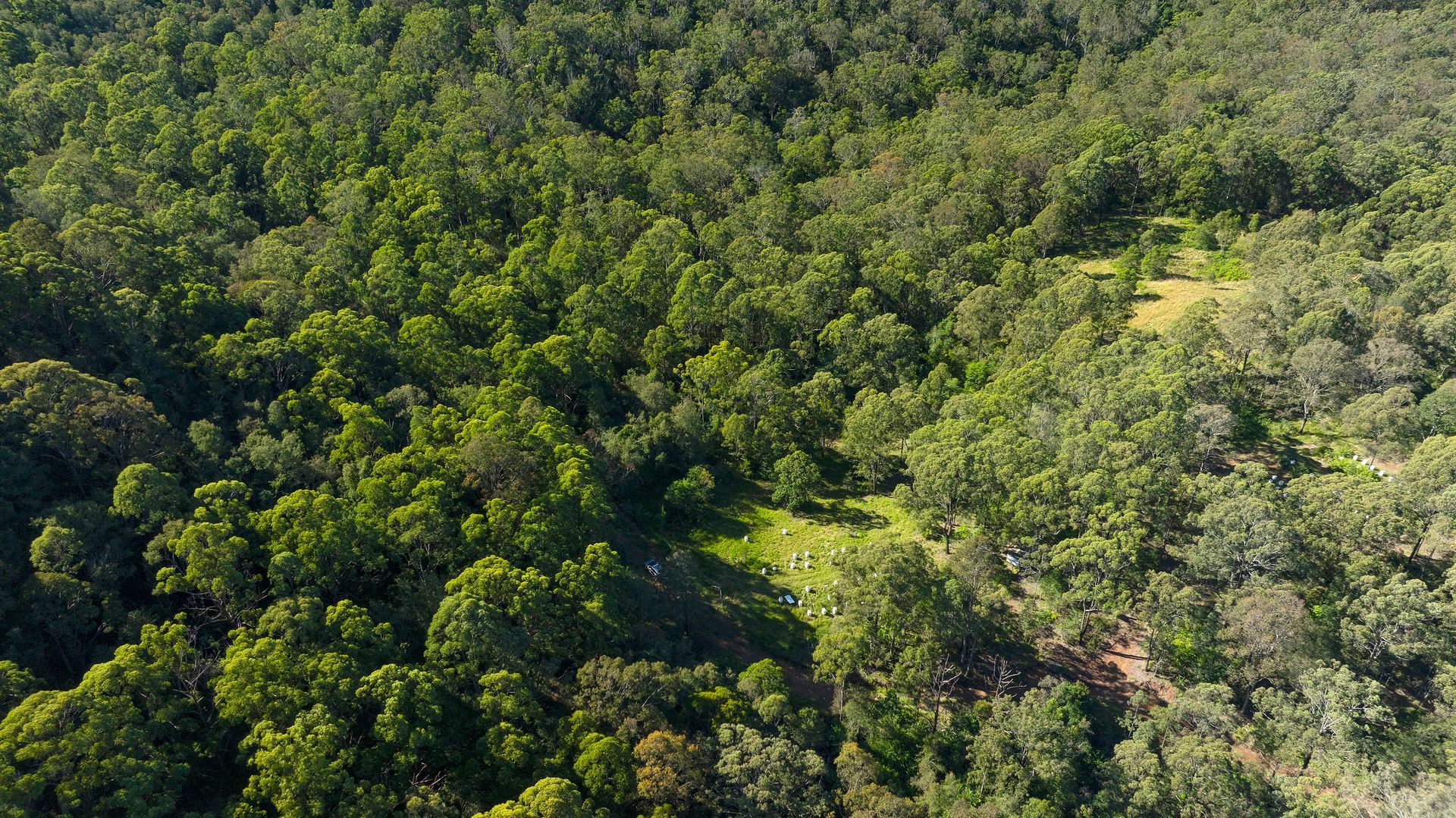 144 Willina Road, Coolongolook NSW 2423 House for Sale Domain