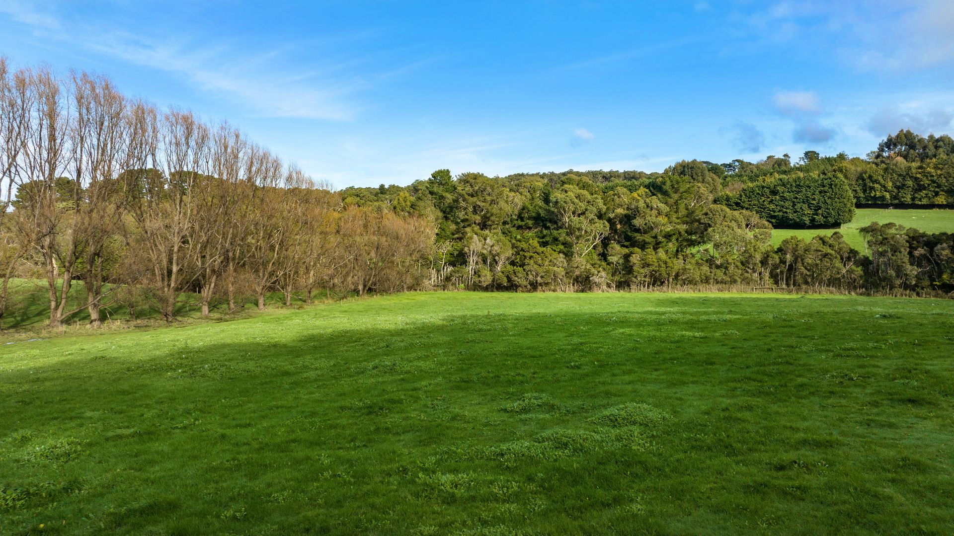 13 Kentucky Road, Merricks North VIC 3926 House for Sale Domain