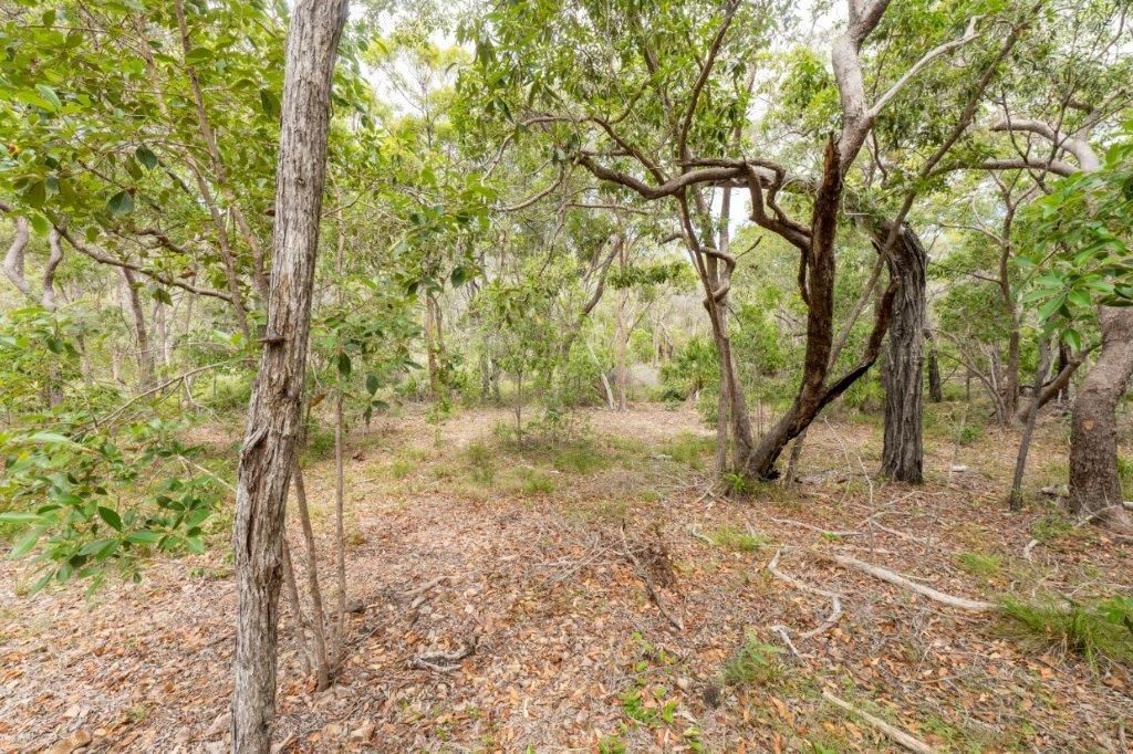 Lot 489 Wilson Drive, Agnes Water QLD 4677, Image 1