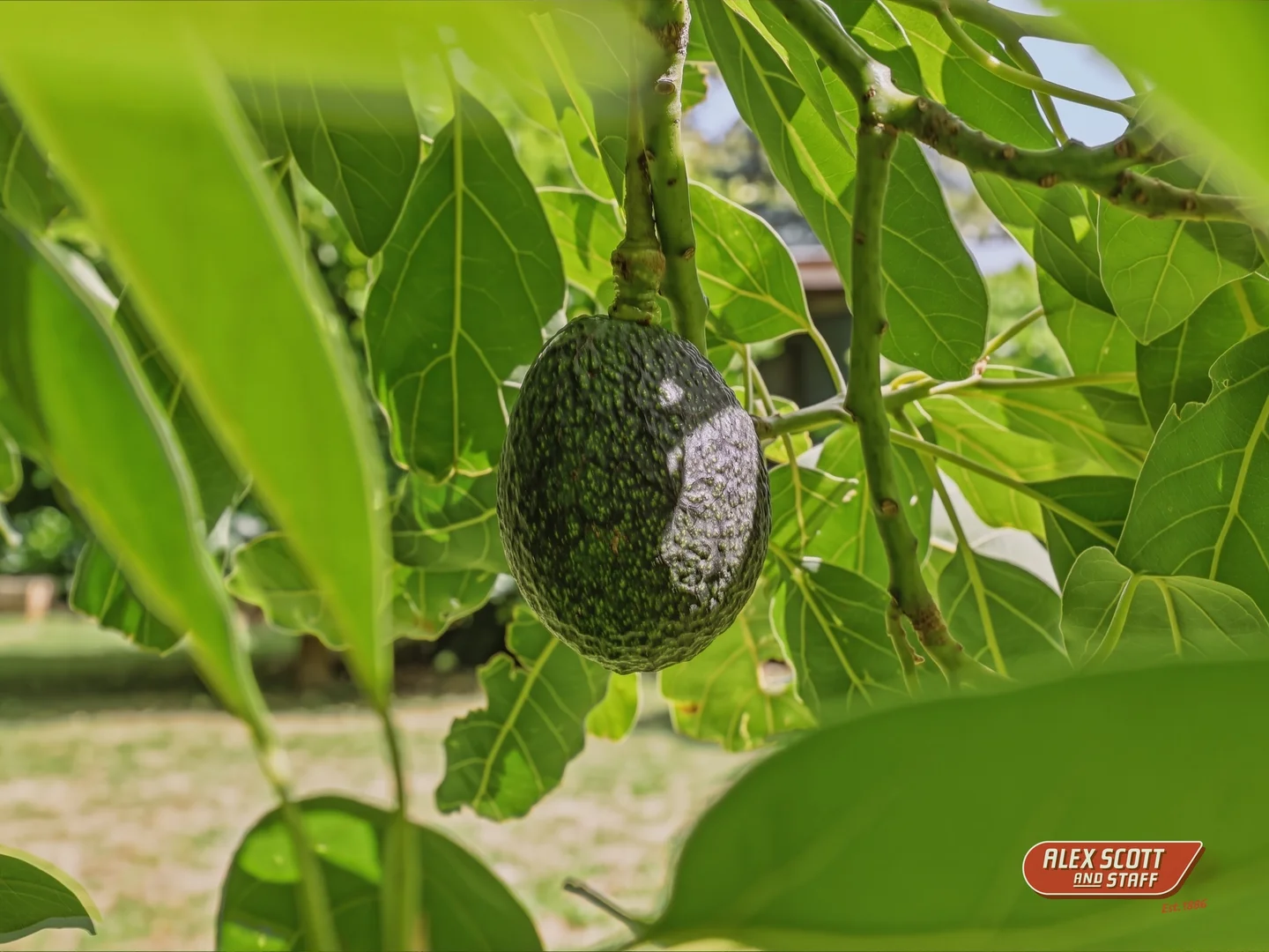 Additional image 26 of 16 Miller Street, Dumbalk VIC 3956