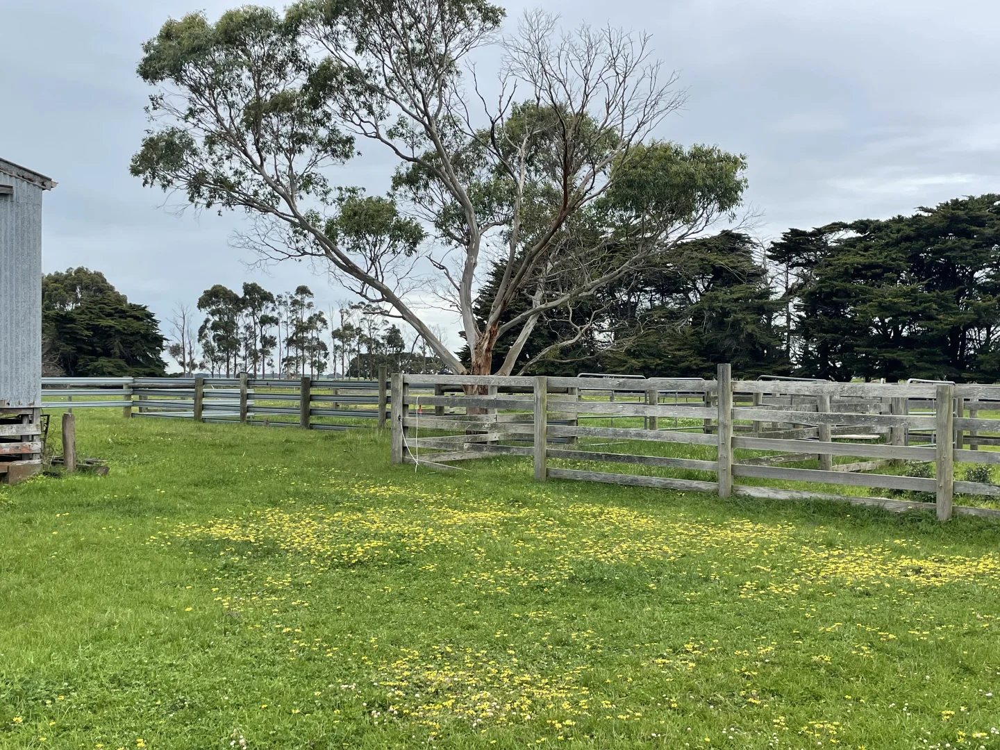 Image 12
