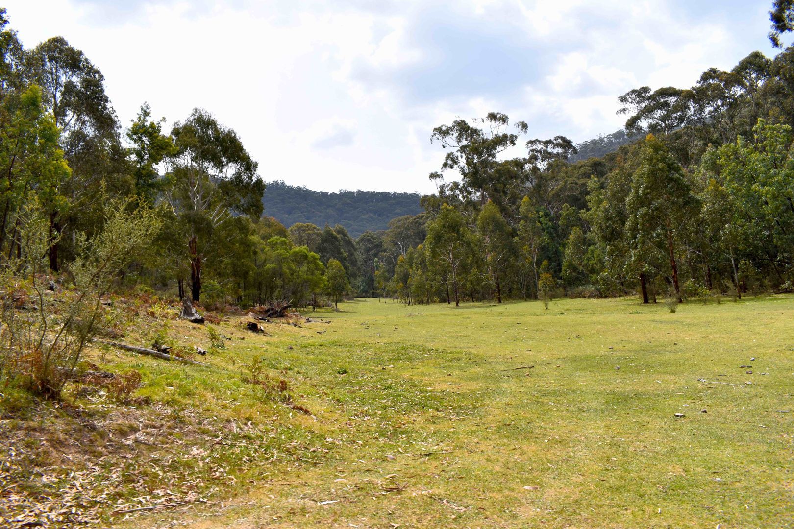 257 Browns Gap Road, Hartley NSW 2790, Image 1