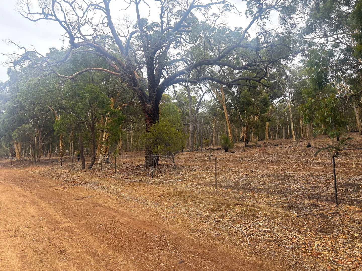 Additional image 8 of 165 Caladenia Drive, Coondle WA 6566