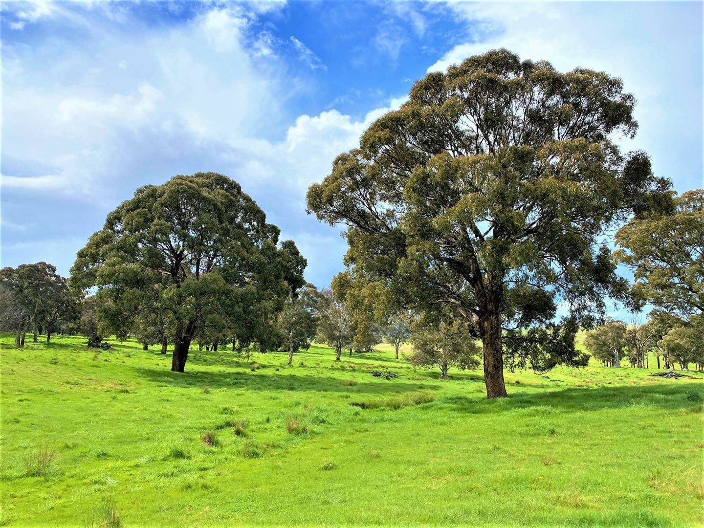 2362 Gurrundah Road, Goulburn NSW 2580, Image 0