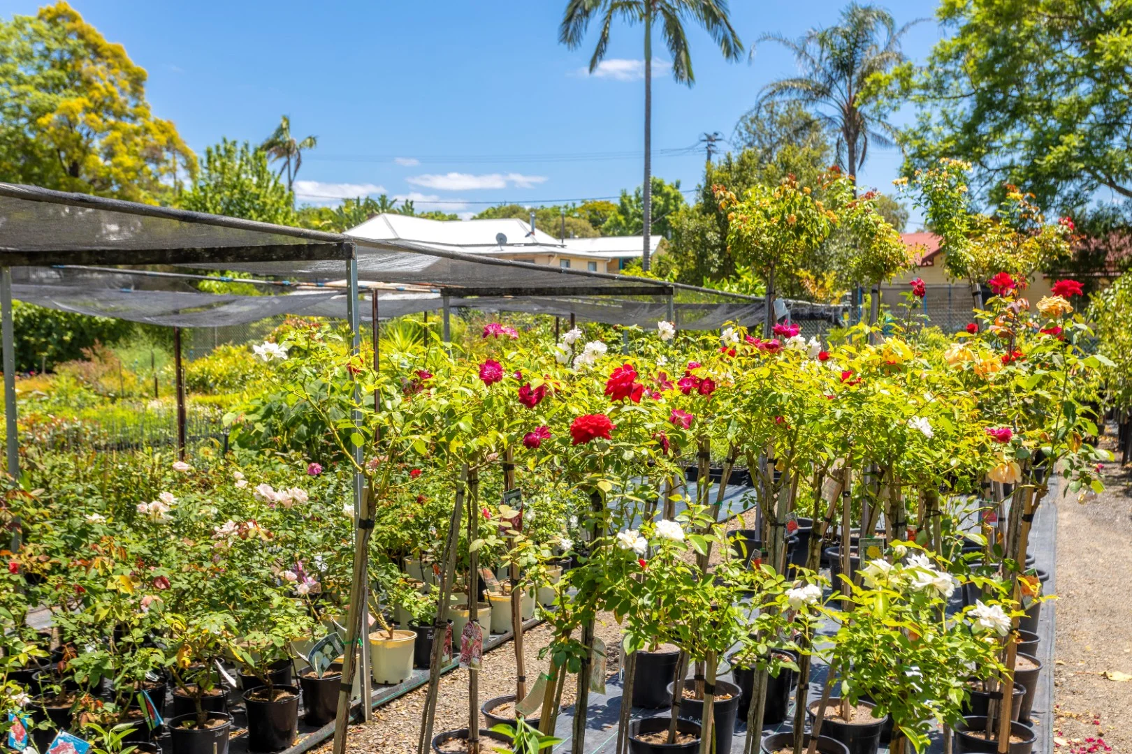 Additional image 10 of 1-5 William Street, Wingham NSW 2429