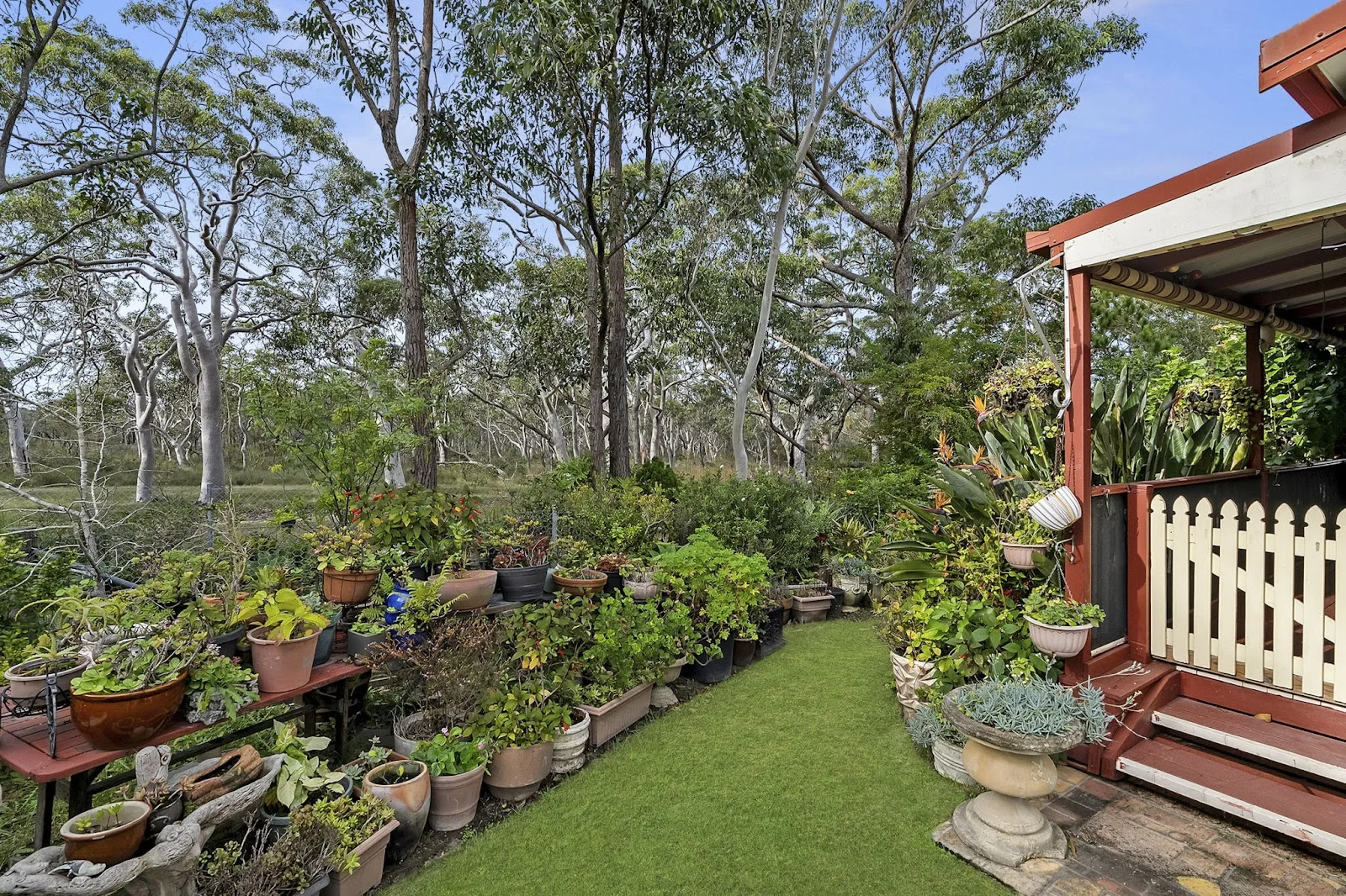 Image 10