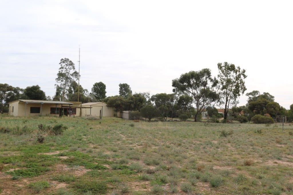 31 Old Blanchetown Rd, Waikerie SA 5330, Image 1