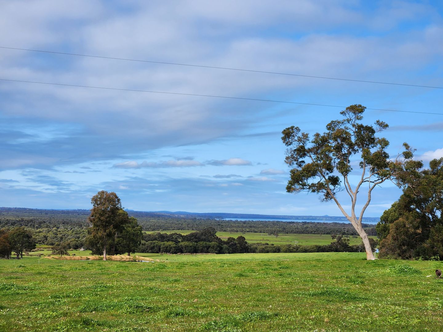 437 Pindicup Road, Manjimup WA 6258, Image 1