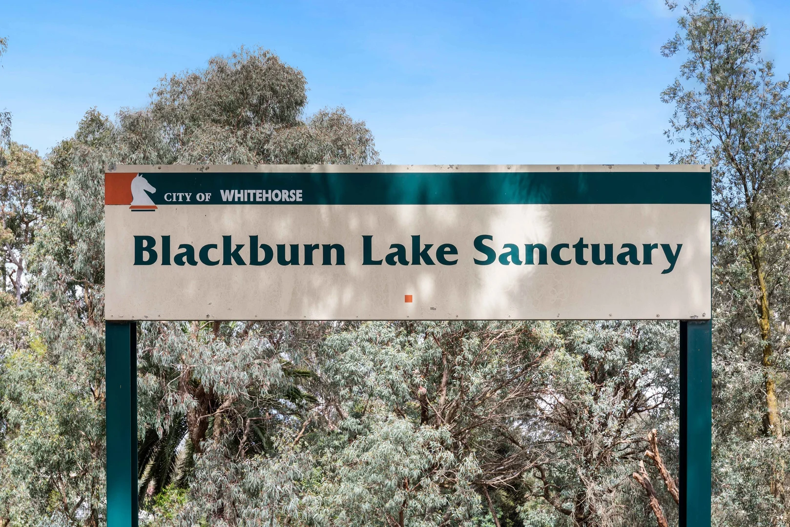 Additional image 6 of 3 Shaun Avenue, Blackburn South VIC 3130