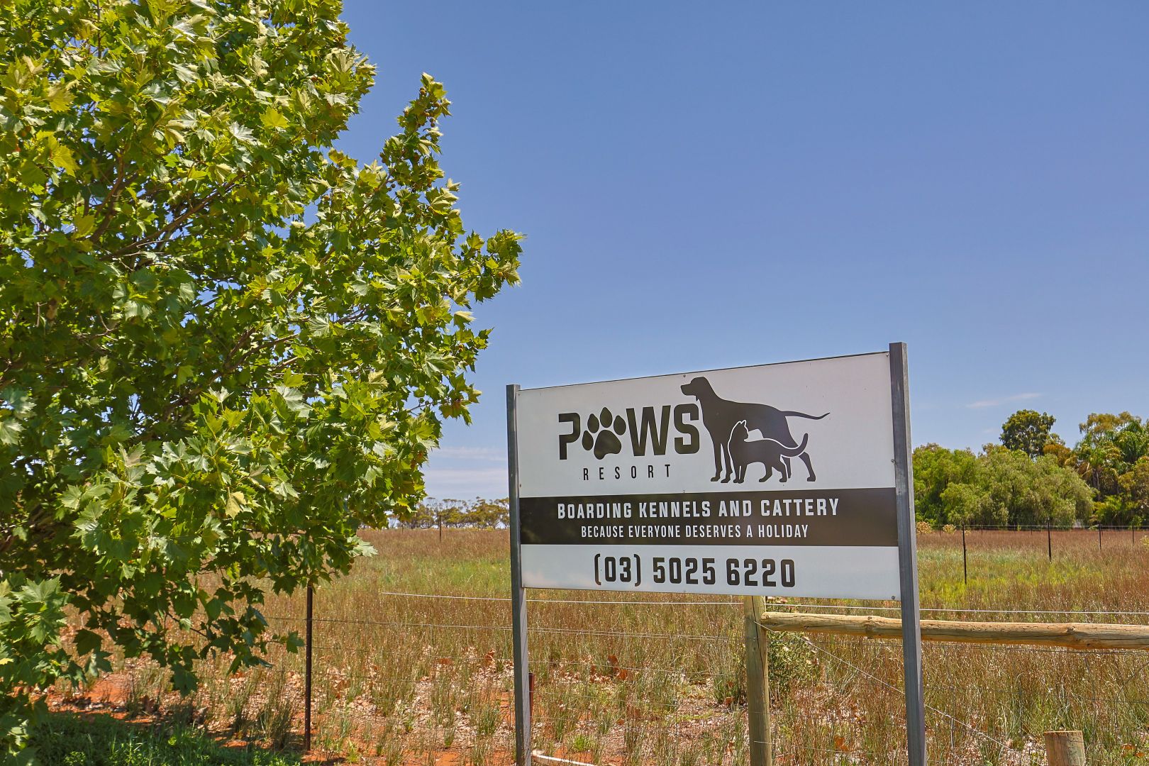 242 Oak Avenue, Birdwoodton VIC 3505 House for Sale Domain