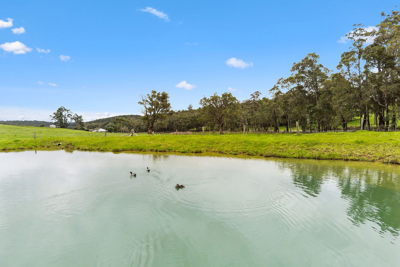 4175 Graphite Road, Nannup WA 6275, Image 2