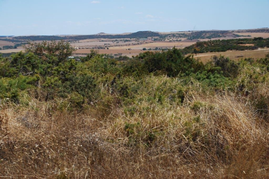 Nanson WA 6532 House for Sale 280,000 Domain