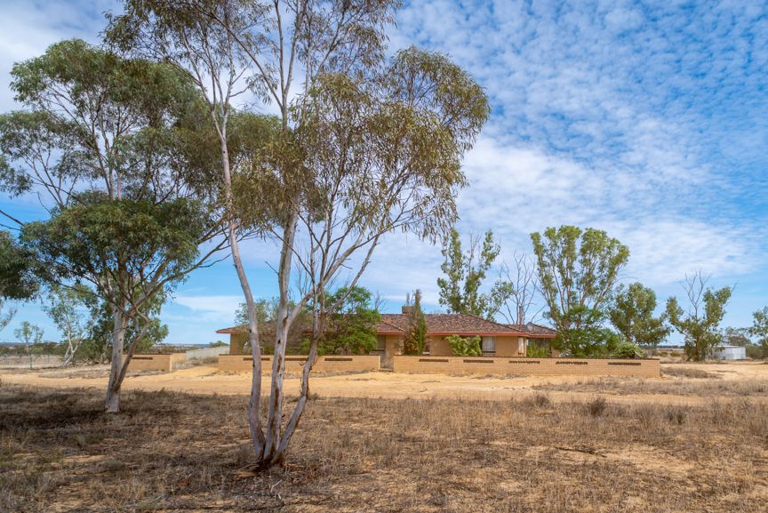 288 Bonnie Rock-Lake Brown Road, Bonnie Rock WA 6479, Image 0