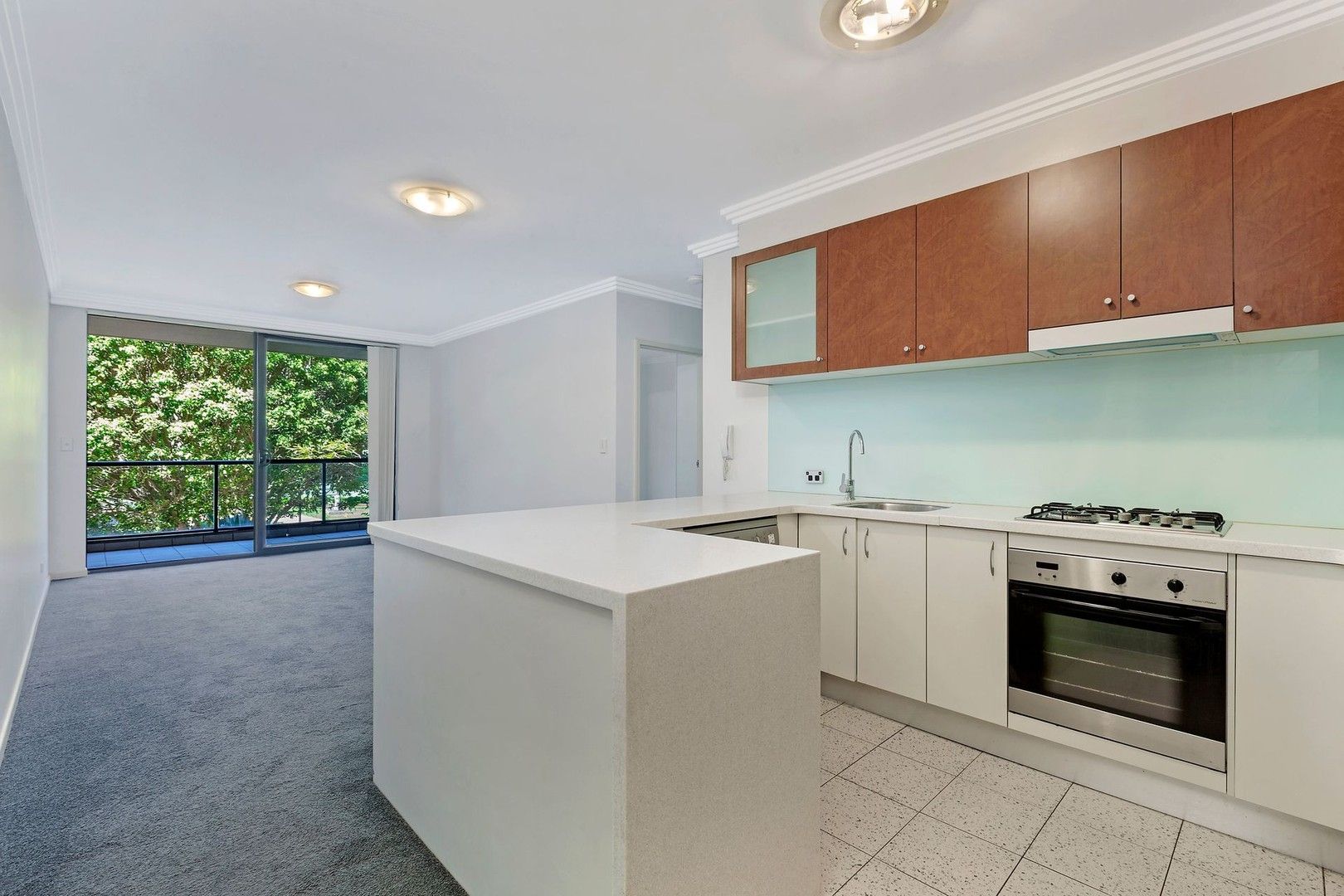 1 bedrooms Apartment / Unit / Flat in 15202/177-219 Mitchell Road ERSKINEVILLE NSW, 2043