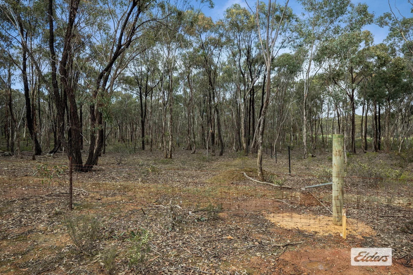 Image 8