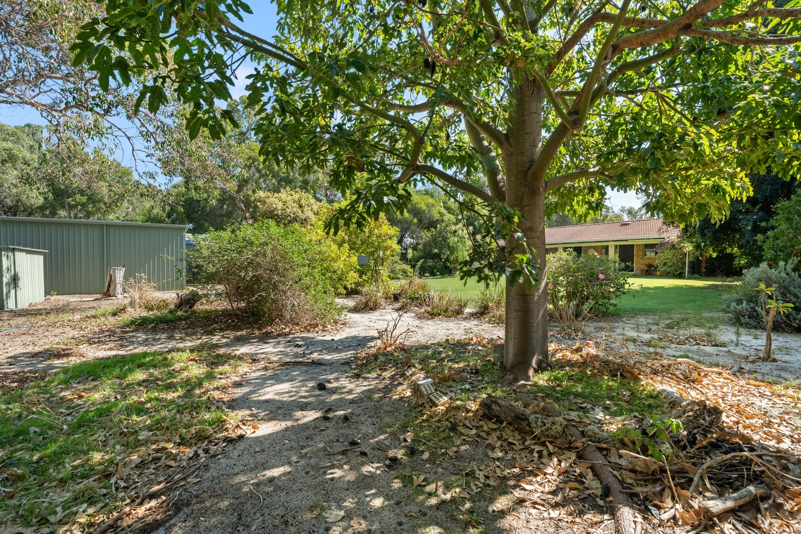 Additional image 35 of 43 Branchfield Way, Falcon WA 6210