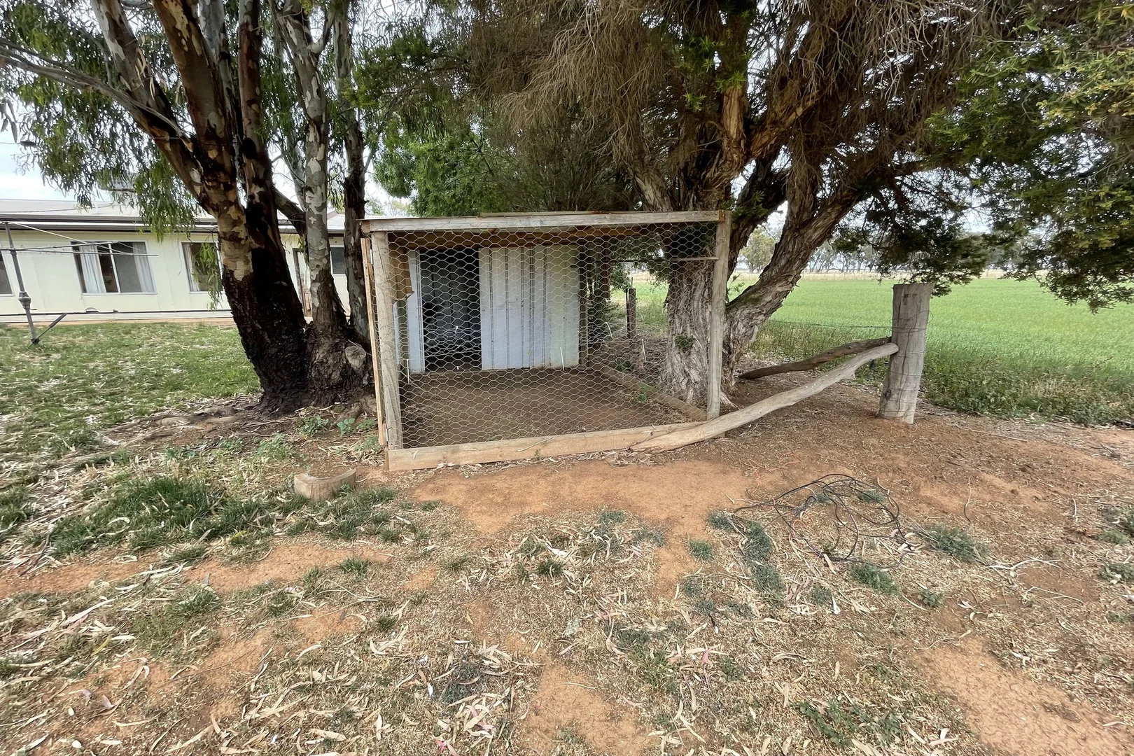 Image 18