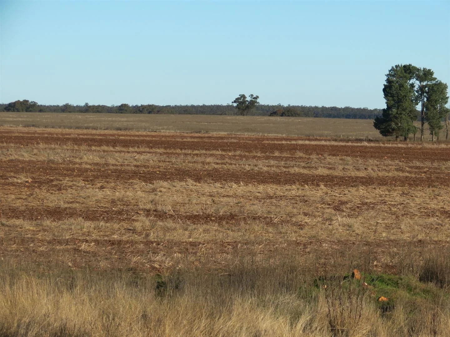 Image 15