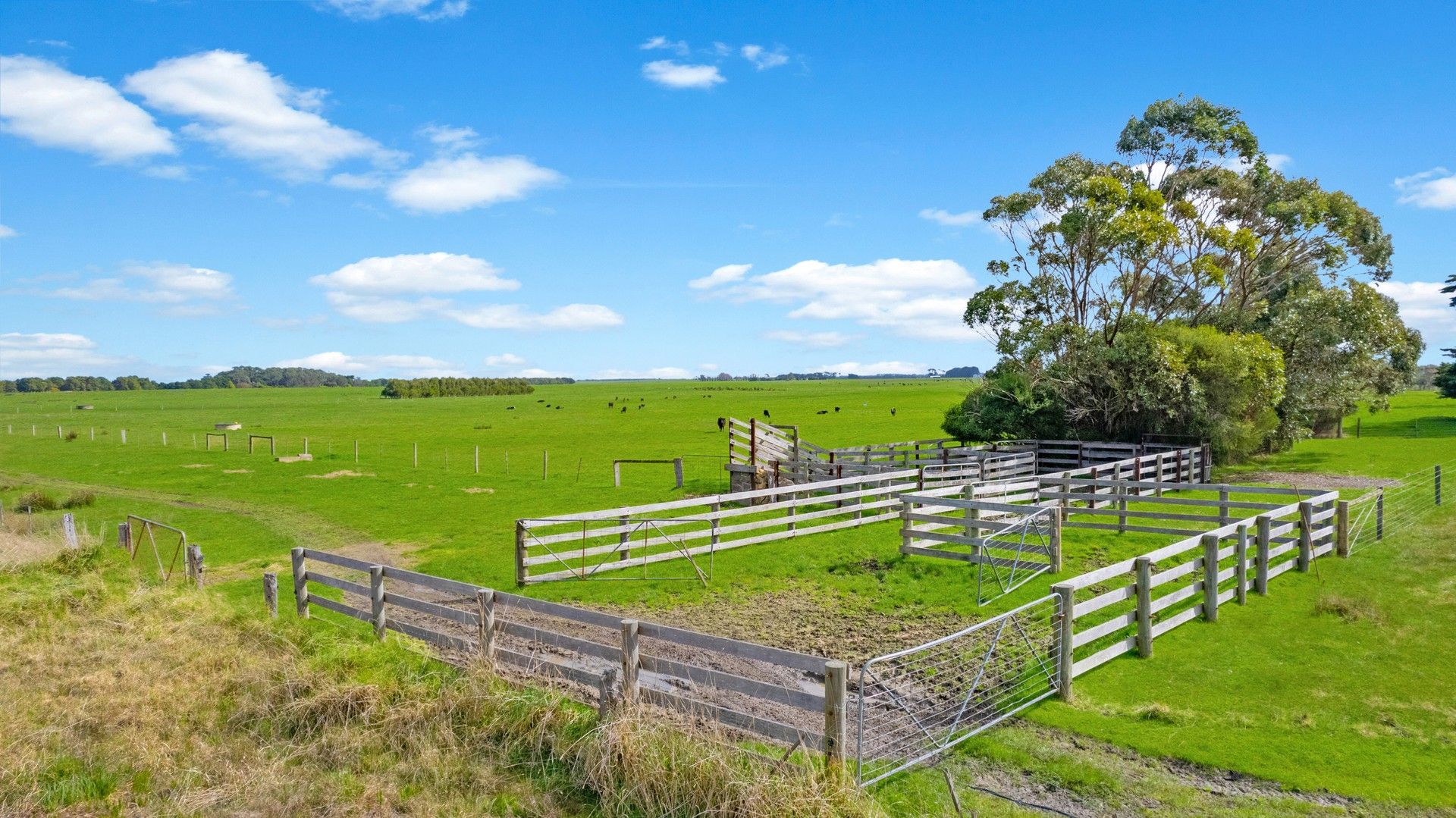 Vacant land in 831 Koroit-Woolsthorpe Road, WOOLSTHORPE VIC, 3276
