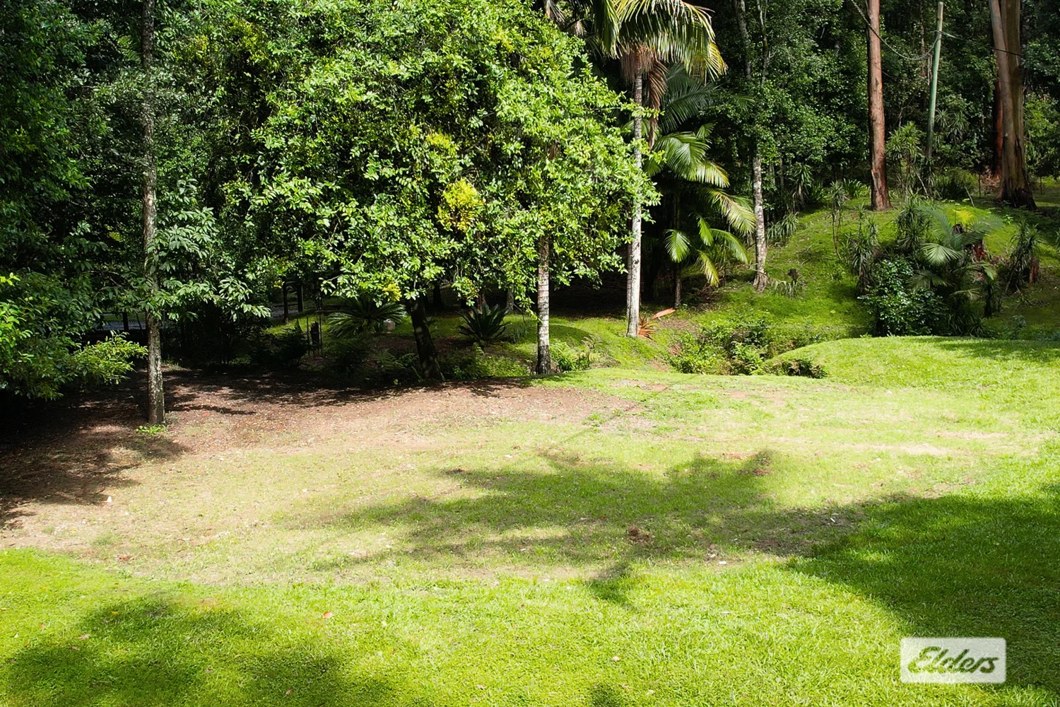 Image 12