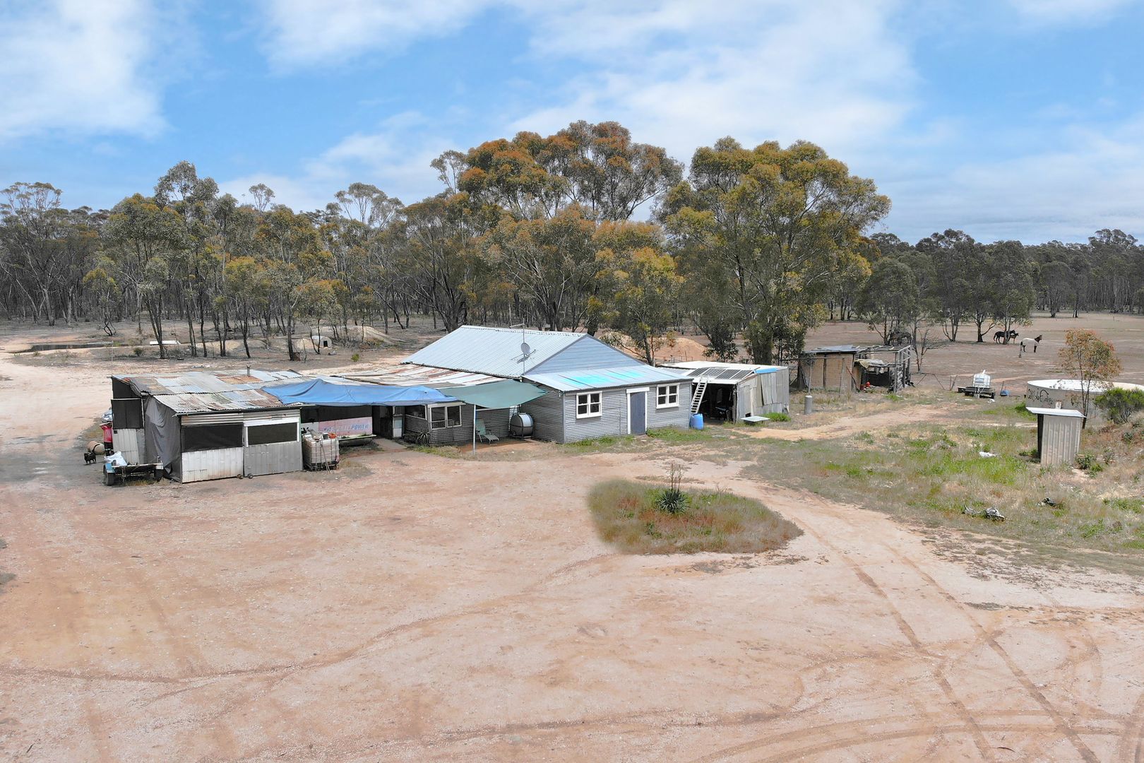 1629 Maryborough-Dunolly Road, Dunolly VIC 3472, Image 1