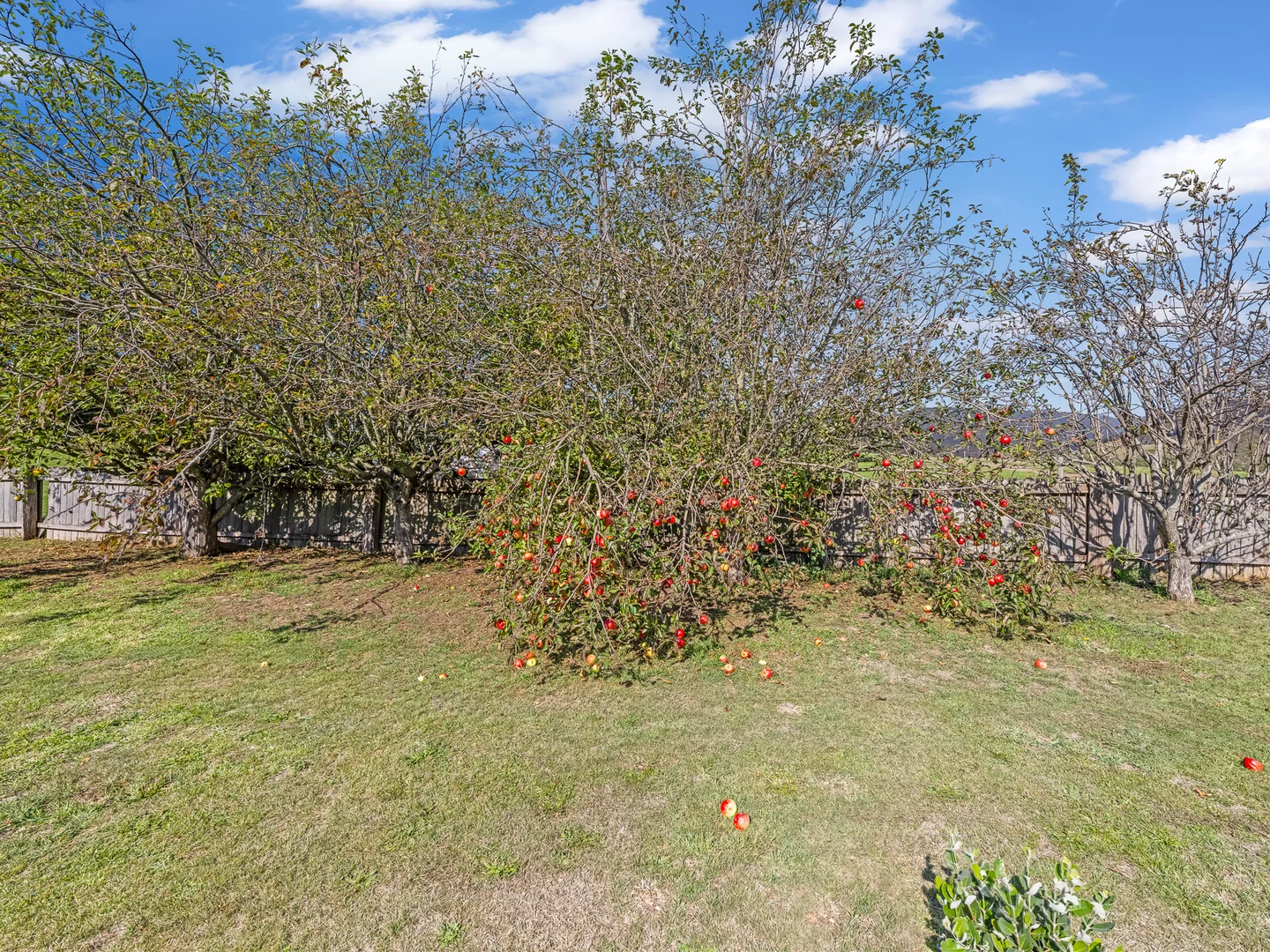 Image 30