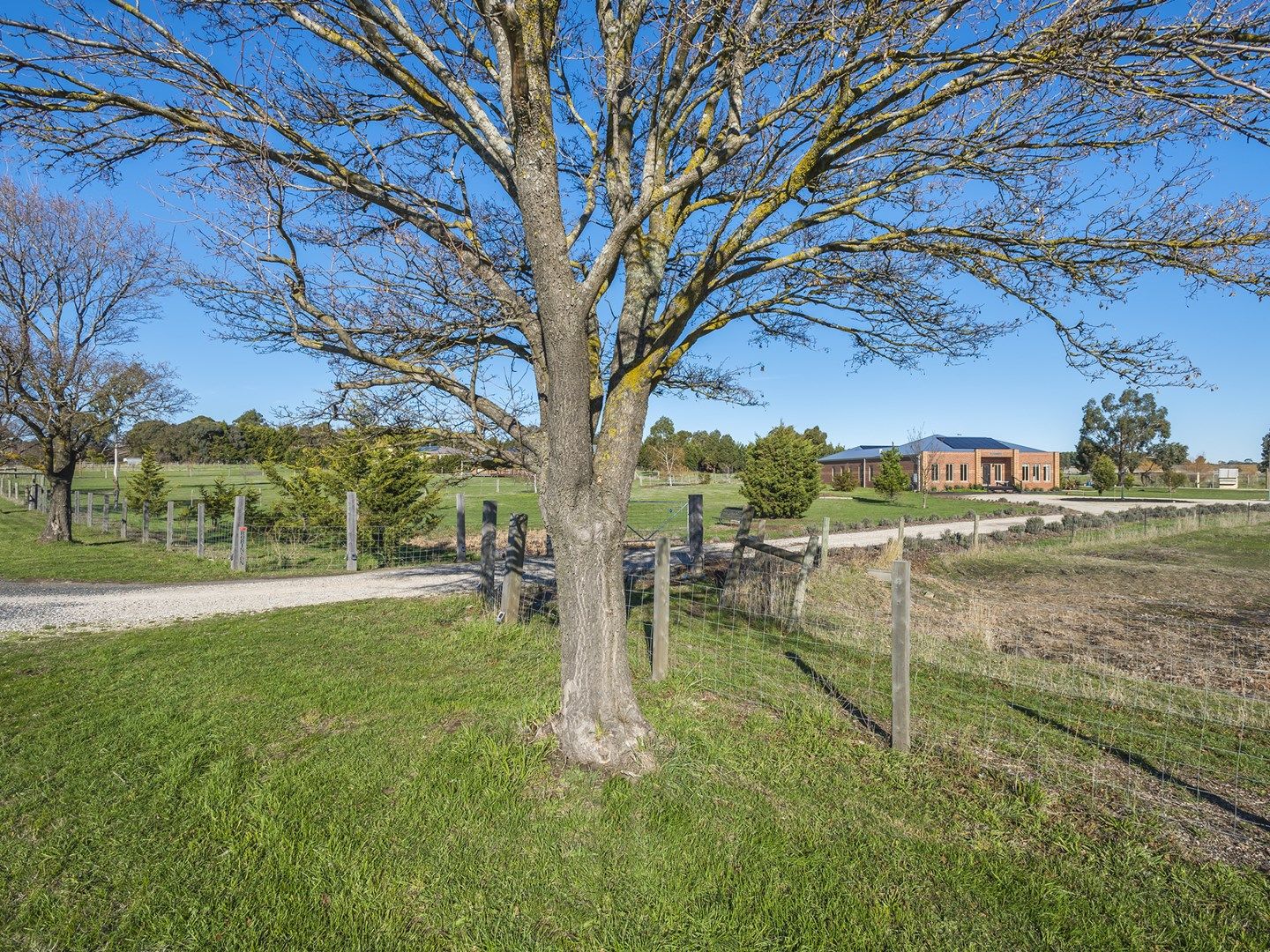 171 Burton Avenue, Kyneton VIC 3444, Image 0