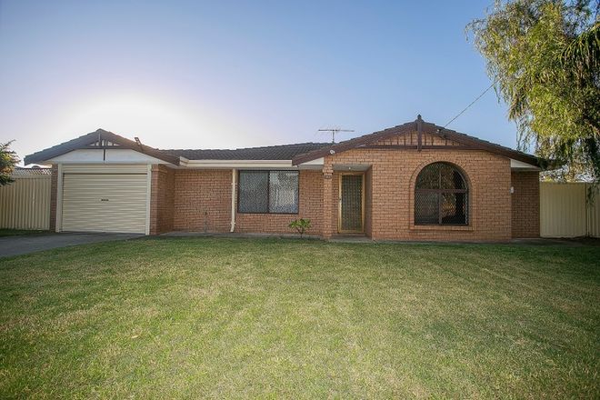 Picture of 29 Wooramel Way, COOLOONGUP WA 6168