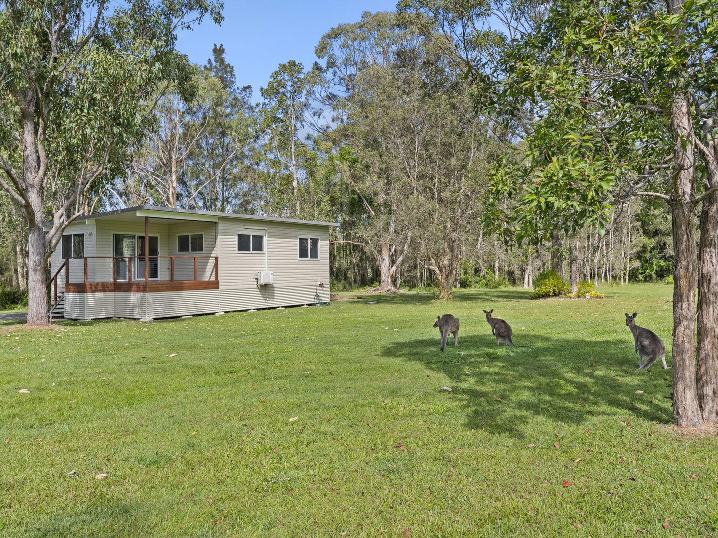 42a Kumbaingeri Close, Moonee Beach NSW 2450 Apartment For Rent Domain