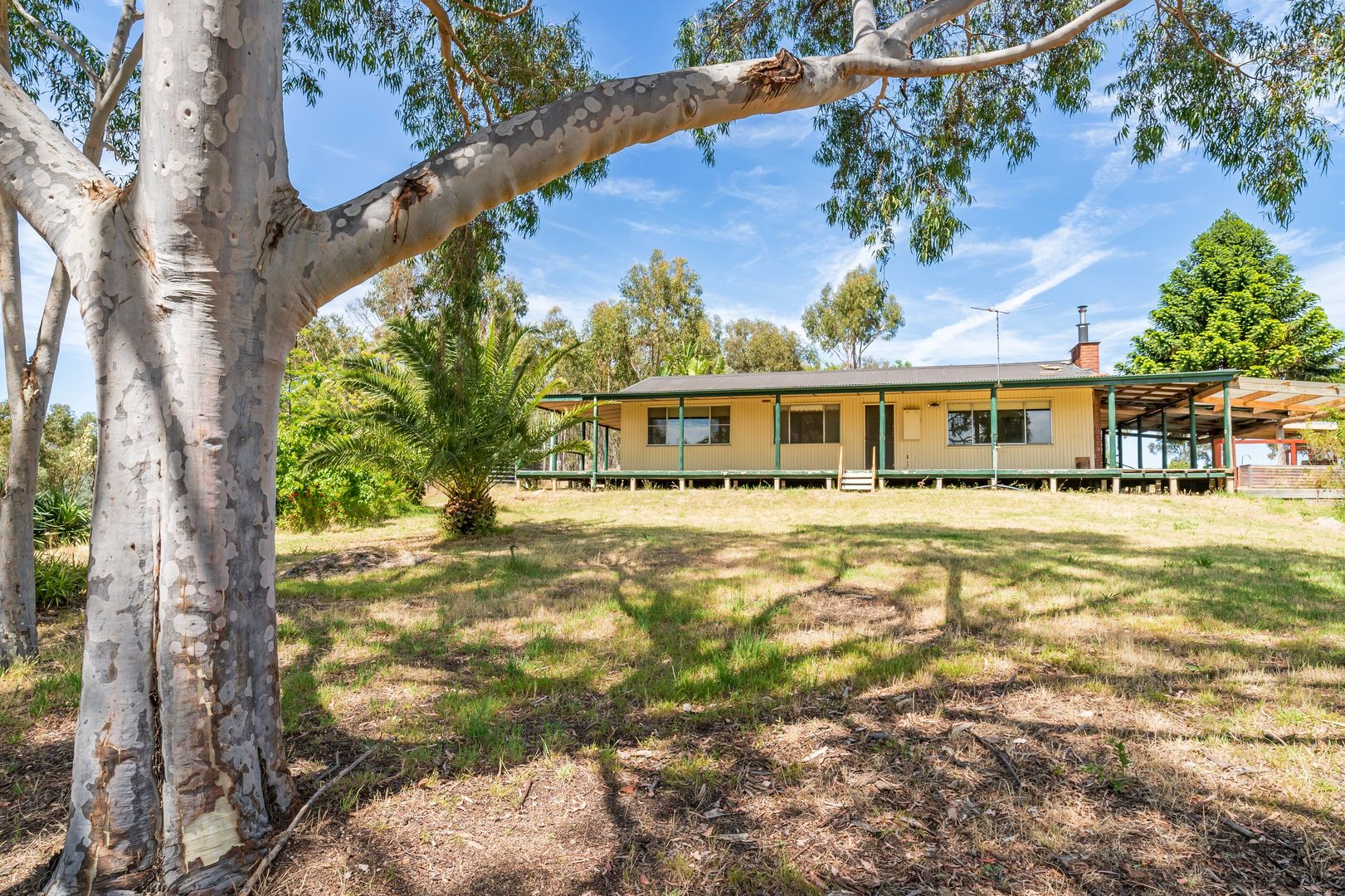 320 Toveys Road, Chiltern VIC 3683, Image 1