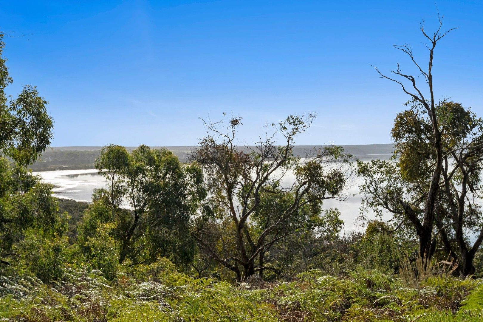 39 Barge - Access Road, French Island VIC 3921, Image 0