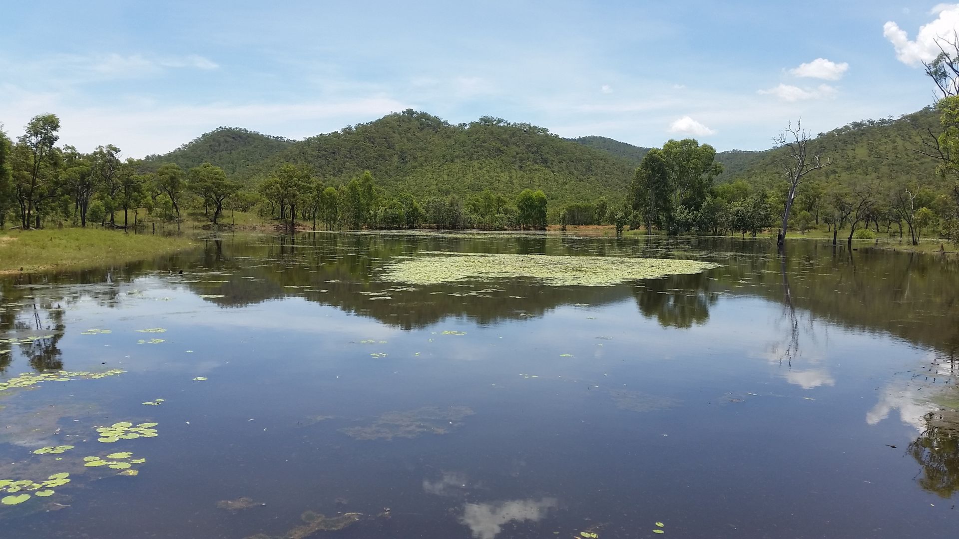 198 Carbonate Creek Road, Dimbulah QLD 4872, Image 1