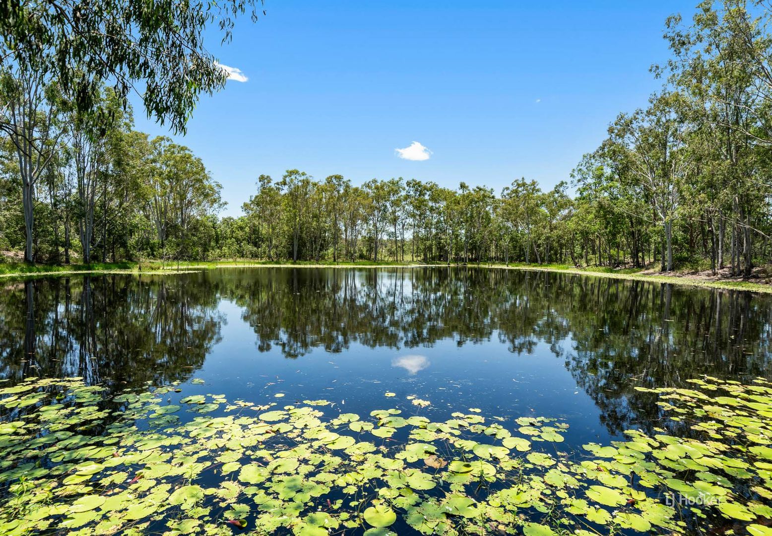 456 Rocky Gully Road, Coominya QLD 4311, Image 1