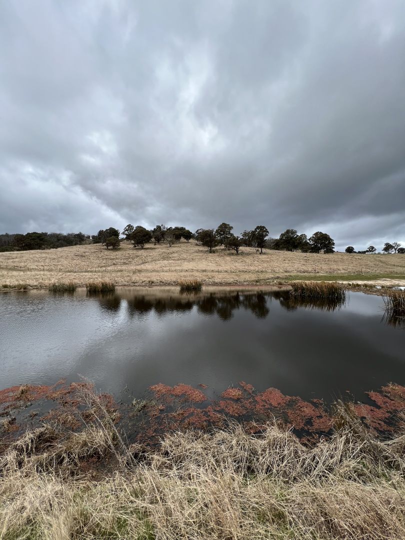 Bannaby NSW 2580, Image 2