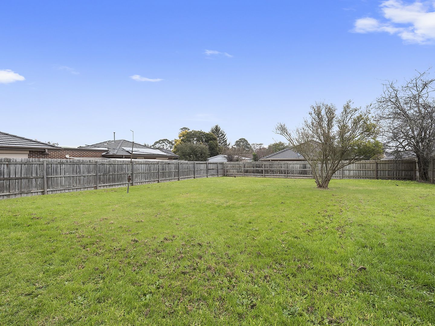 117 Dorset Road, Boronia VIC 3155, Image 1