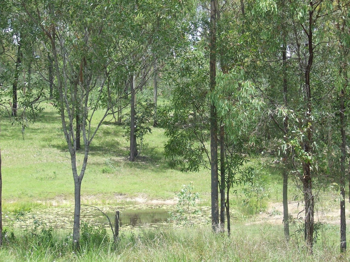 978 Tablelands Road, Horse Camp QLD 4671, Image 0