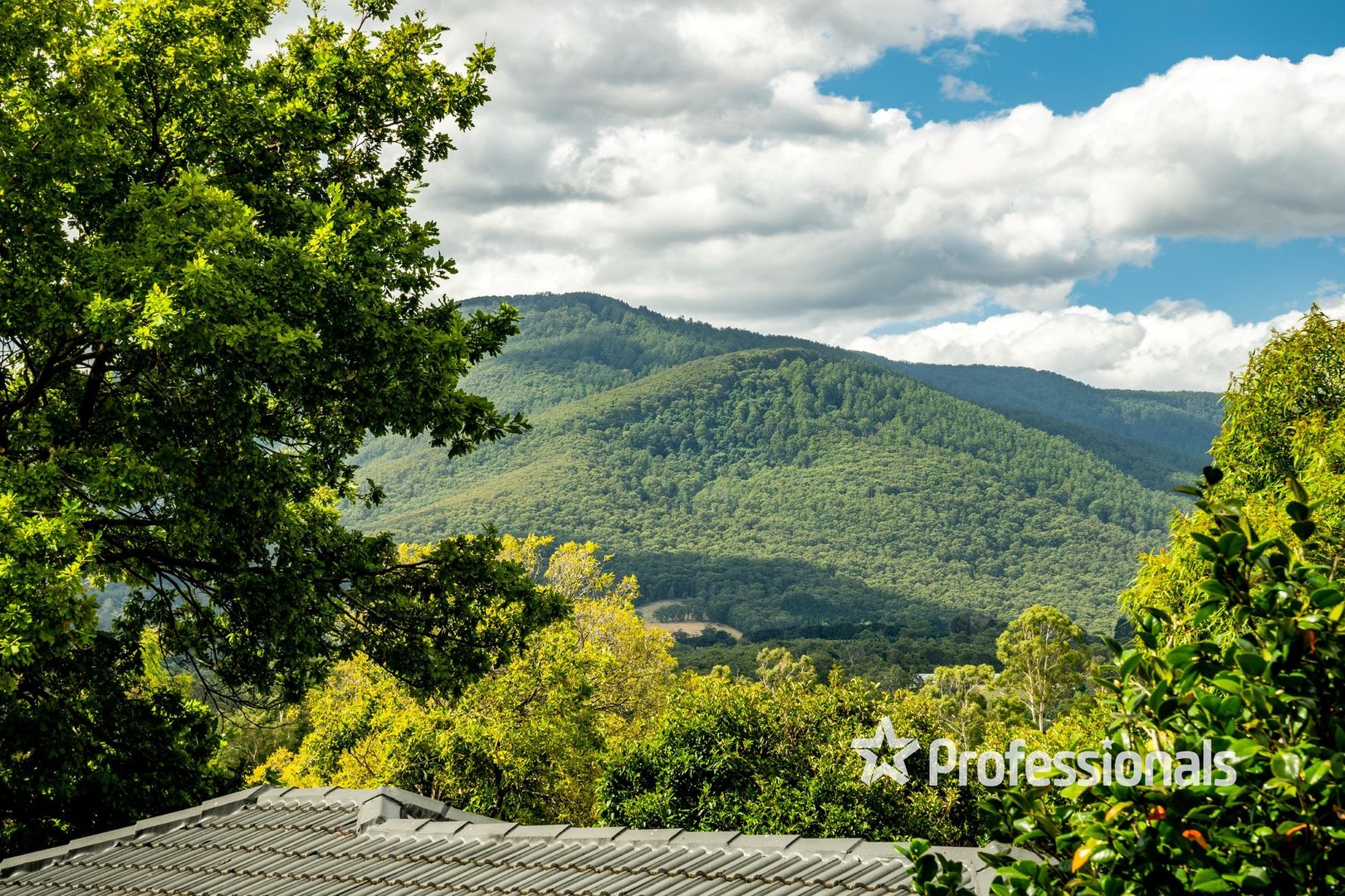 20 Scenic Drive, Launching Place VIC 3139 Domain