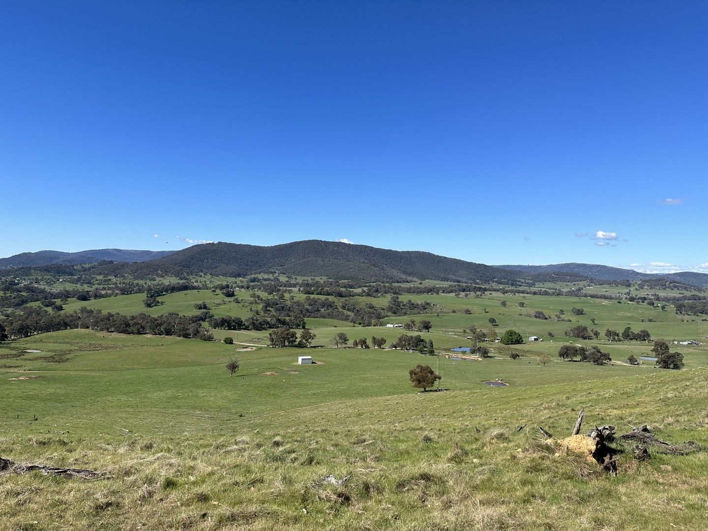 53 McClellands Lane, Tumbarumba NSW 2653, Image 0