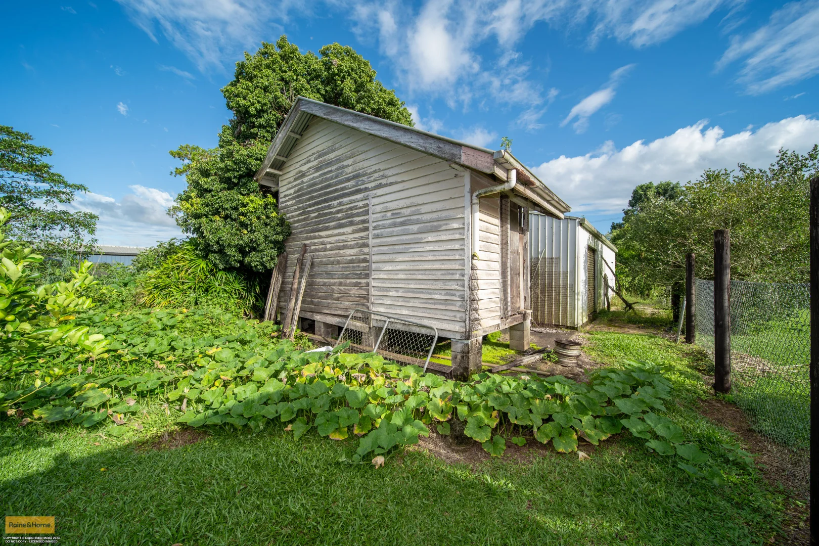Image 15