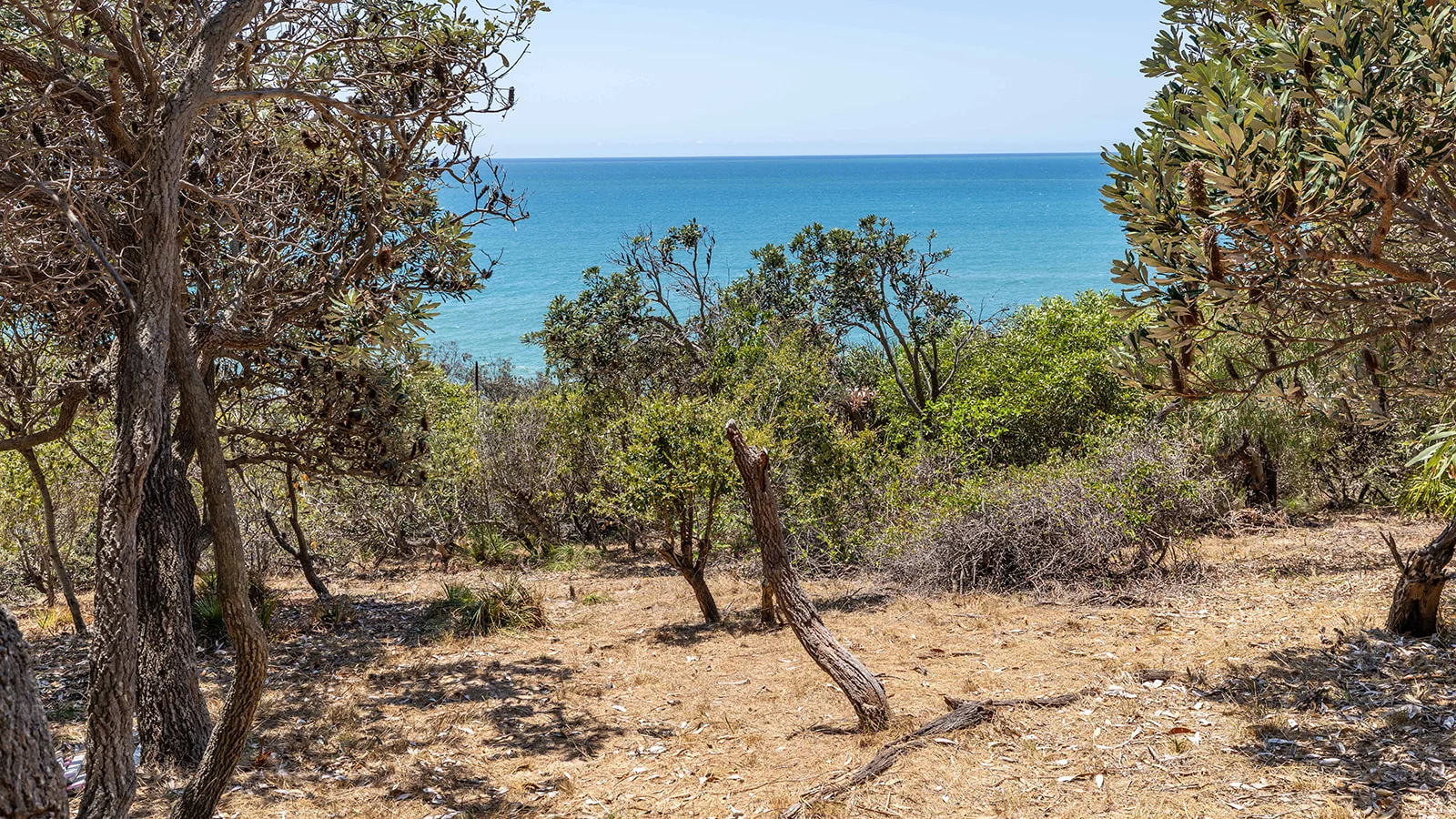 Additional image 15 of 73 Loggerhead Lane, Agnes Water QLD 4677