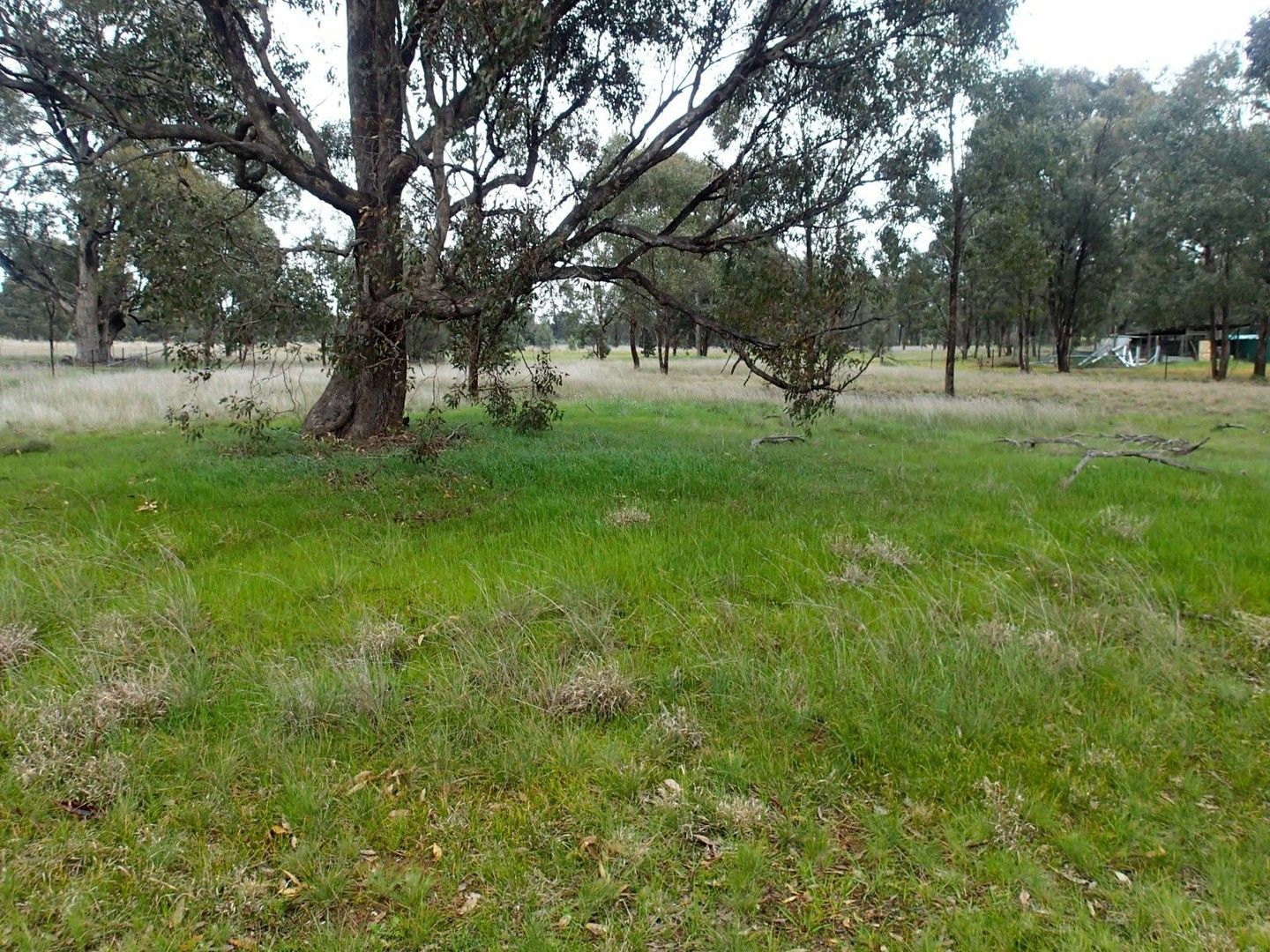 Lot/199 Coreen School Road, Coreen NSW 2646, Image 0