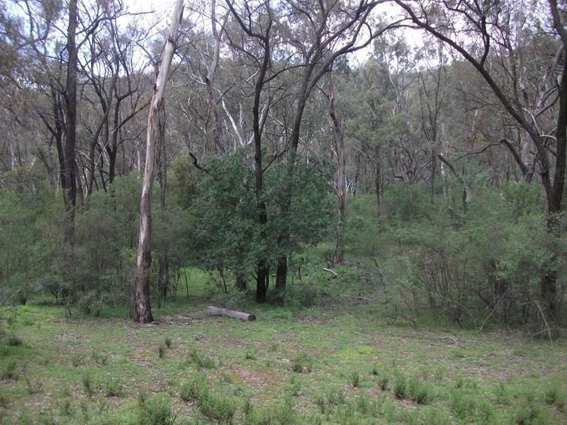 360 Worondi Creek Road, Gungal NSW 2333, Image 2