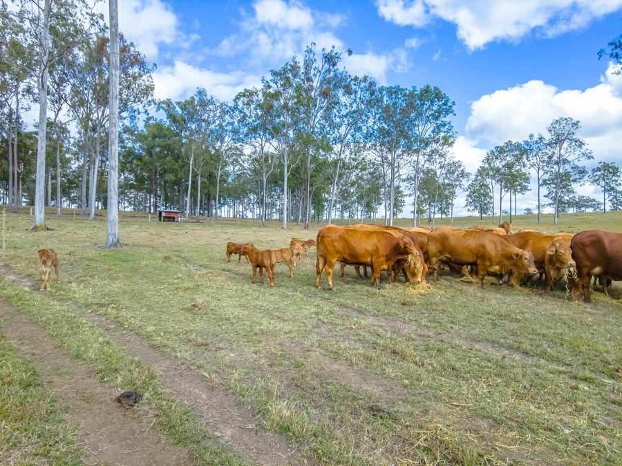 Lot 24 Biggenden Road, Yerra QLD 4650, Image 1