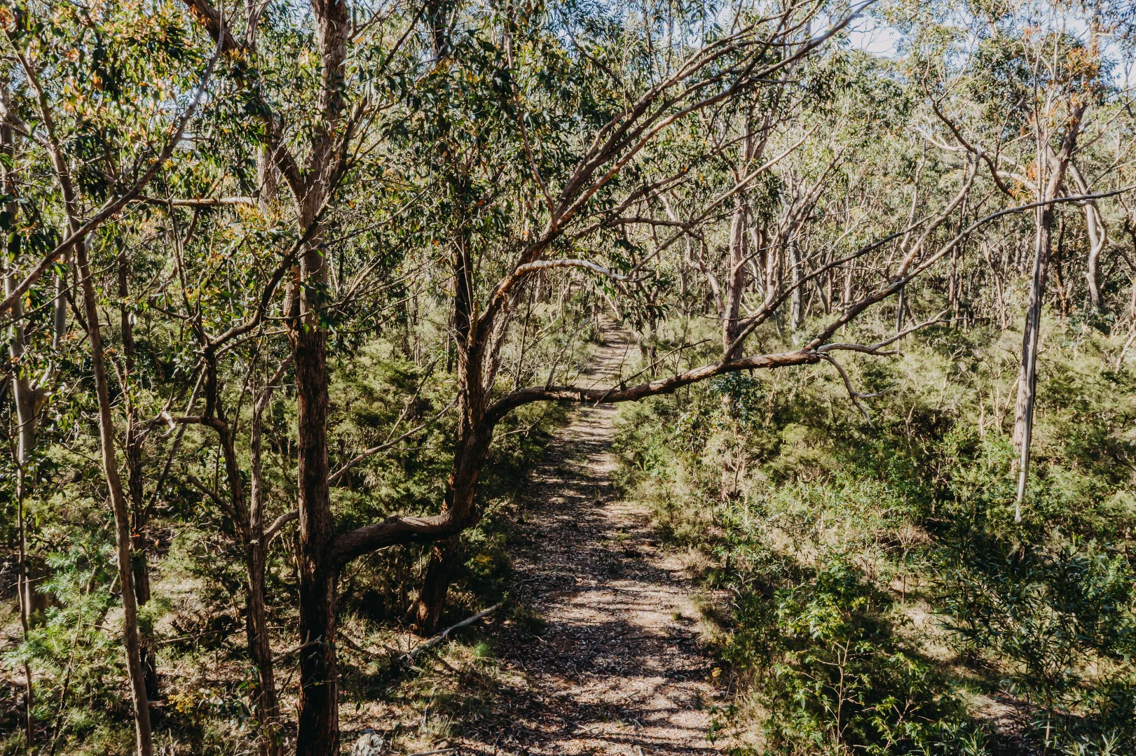 Image 13