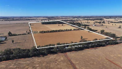 Picture of 7555 Burley Griffin Way, TEMORA NSW 2666