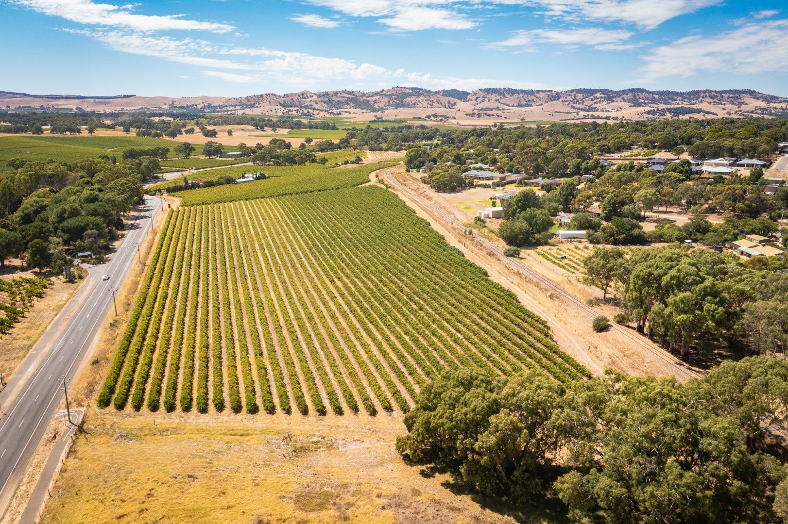 1234 Barossa Valley Way, Lyndoch SA 5351 Viticulture Property for Sale
