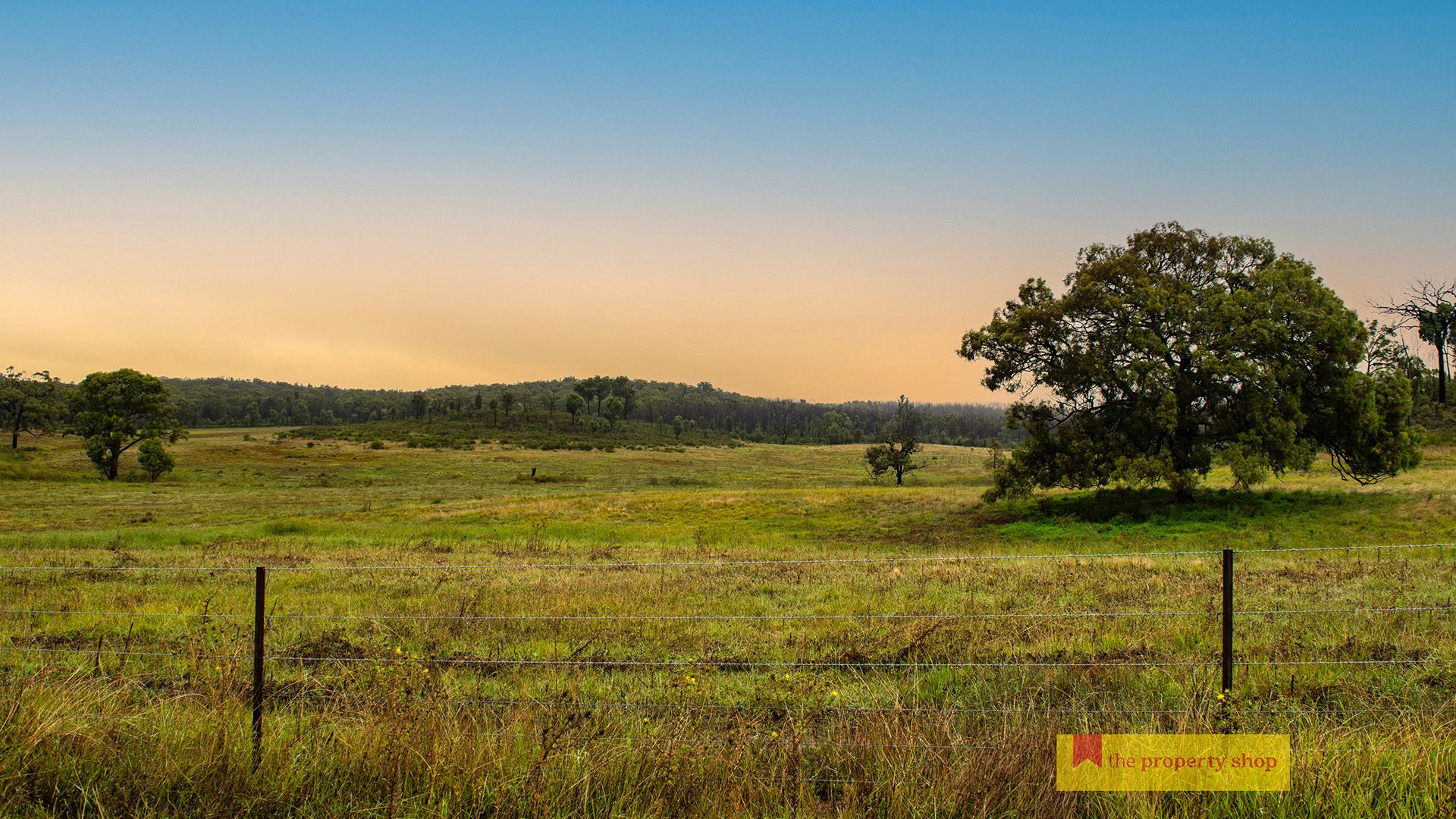 308 Turill Bus Route, Turill NSW 2850, Image 0