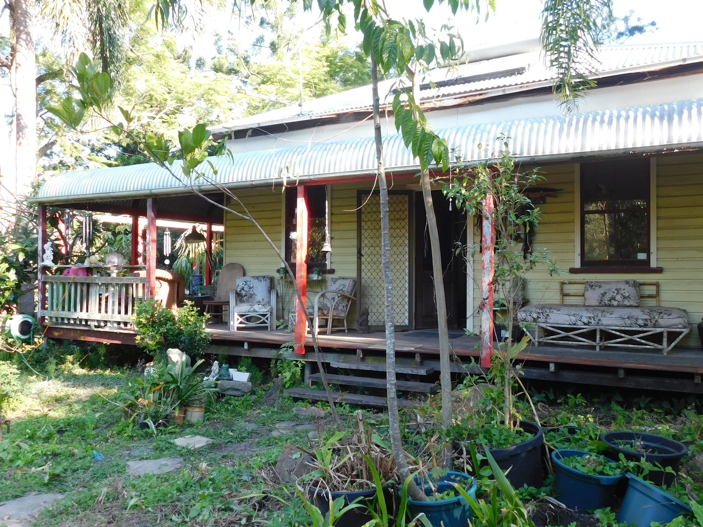 Image 13