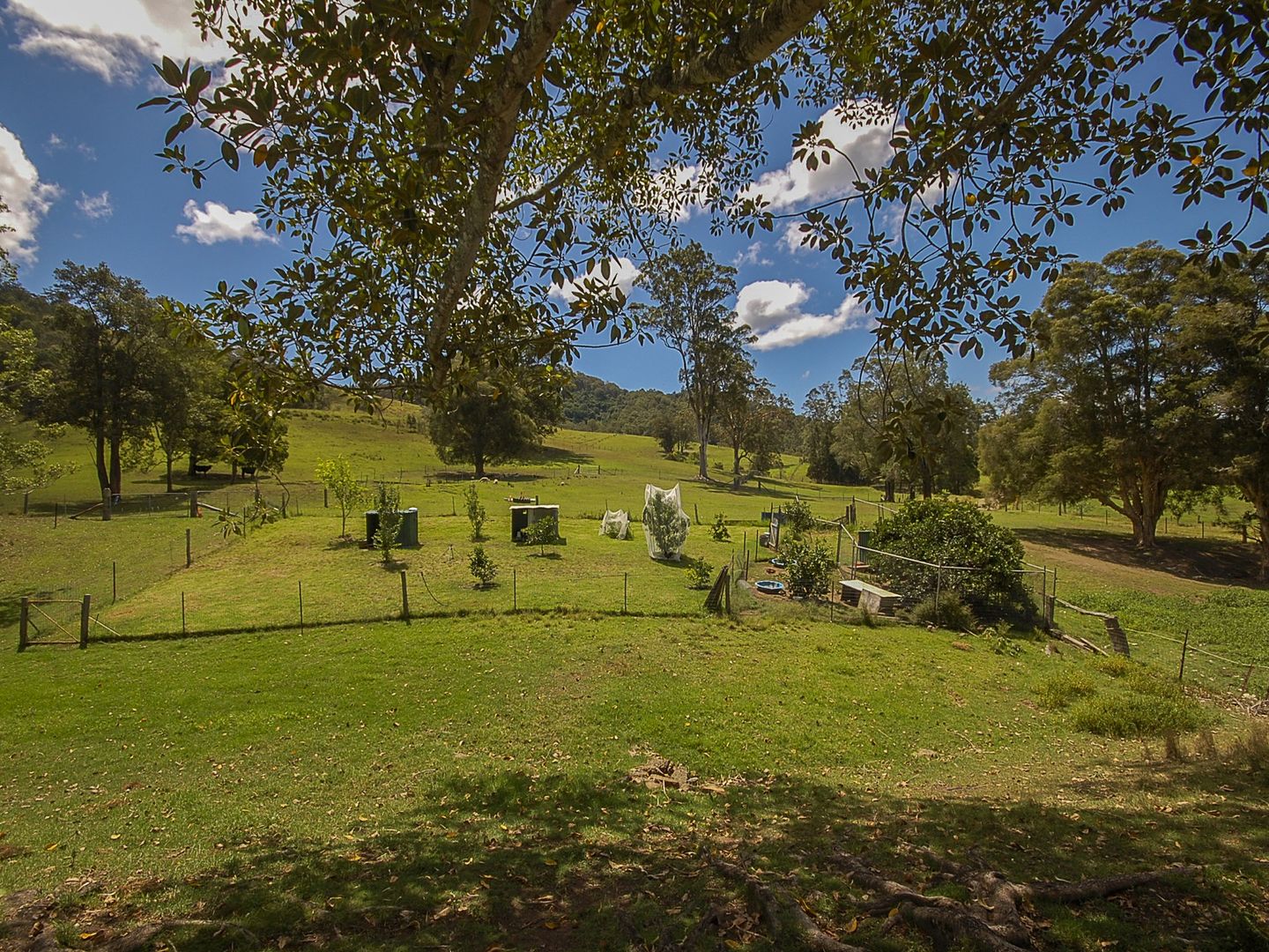 792 Mooral Creek Road, Wingham NSW 2429, Image 1