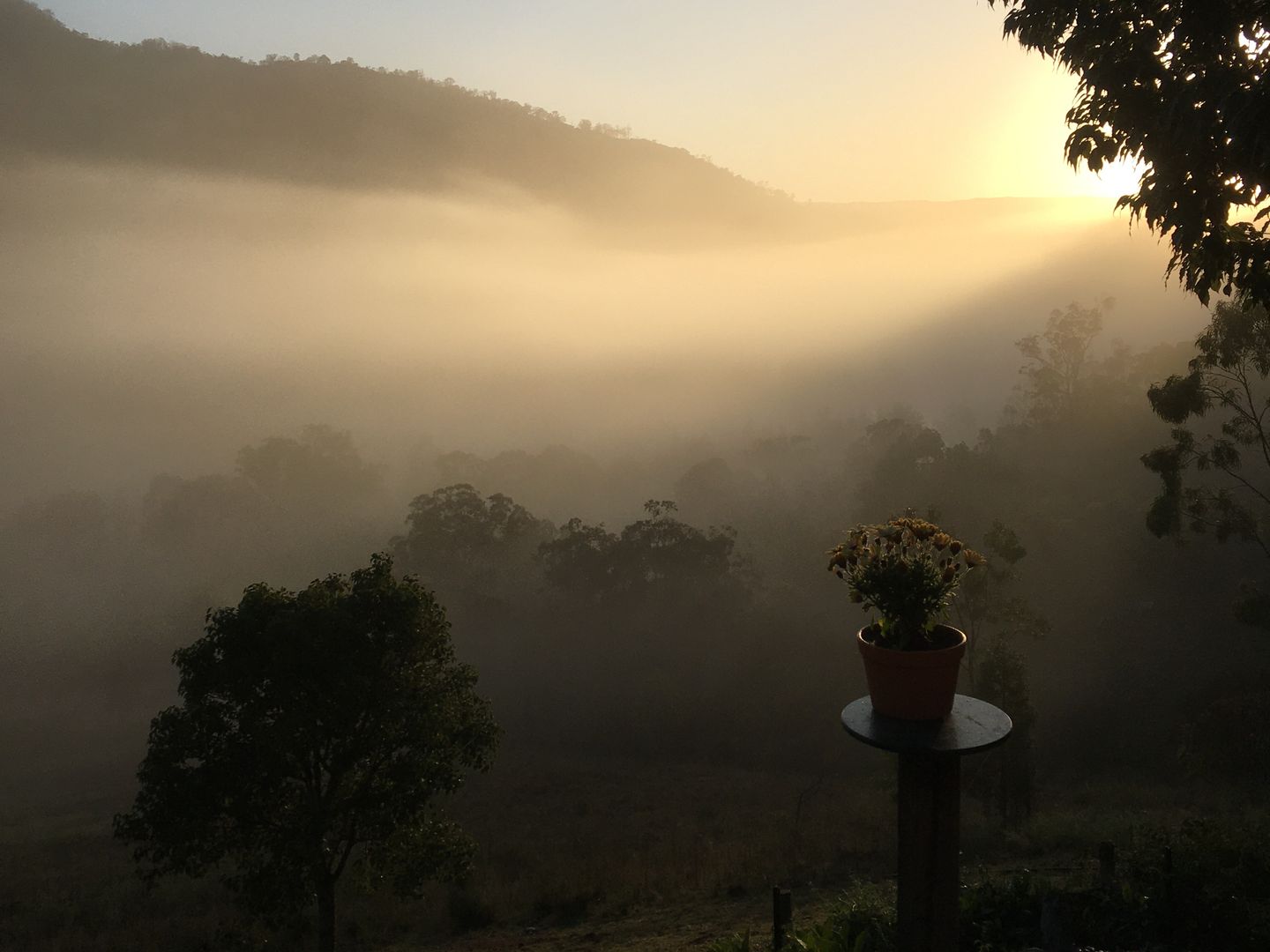 Bullio NSW 2575 vacant land for Sale, $1,800,000 - 2018729624 | Domain